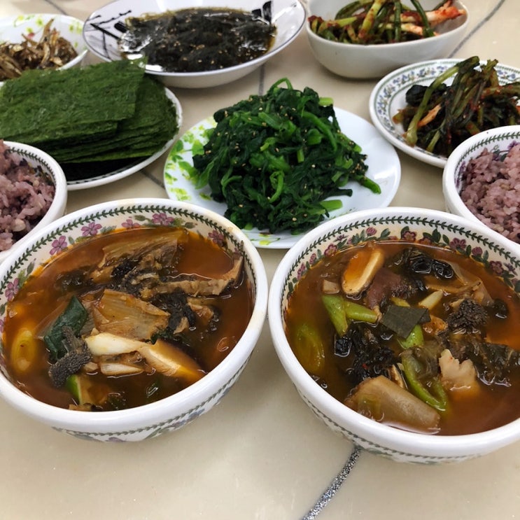  이가네식품 명인한우내장탕 혼밥밀키트 추천