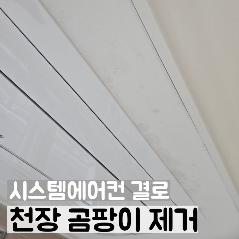 시스템에어컨 천장 결로 곰팡이제거 부분도배 보수
