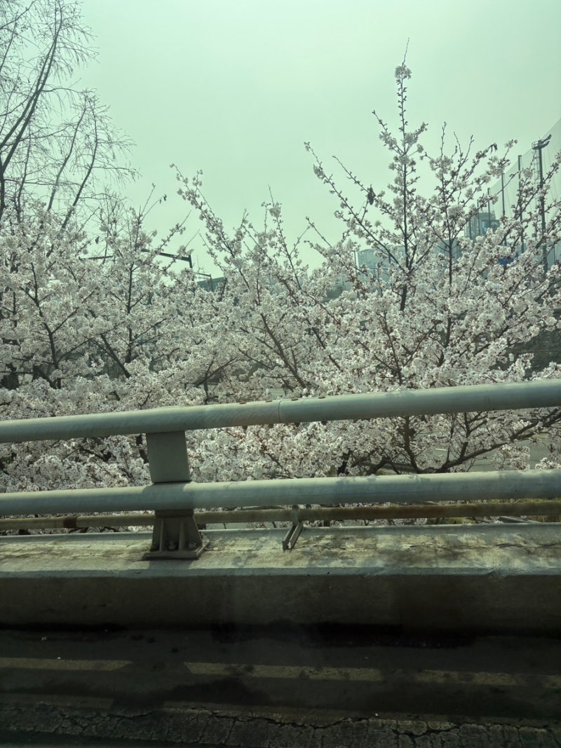 사진 2