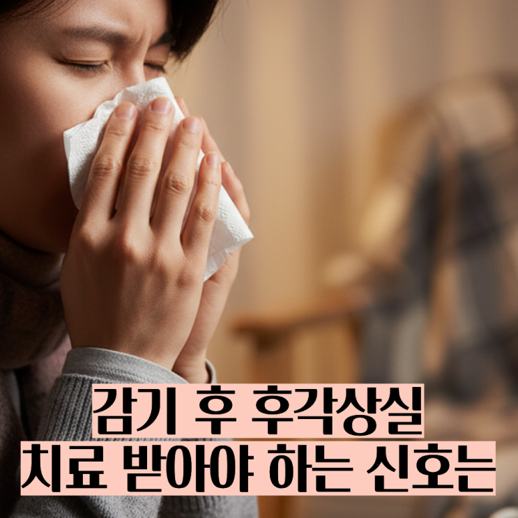  감기 후 후각 상실, 왜 생기고 얼마나 갈까? 원인·증상·회복 방법 총정리
