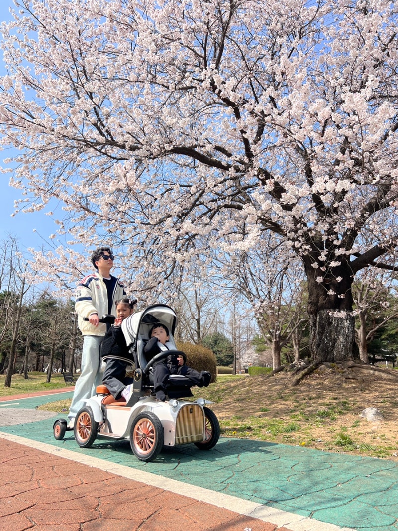 디트로네S 전동유아차 유모차 결합 후기 애둘맘 병원,장보기 필수템