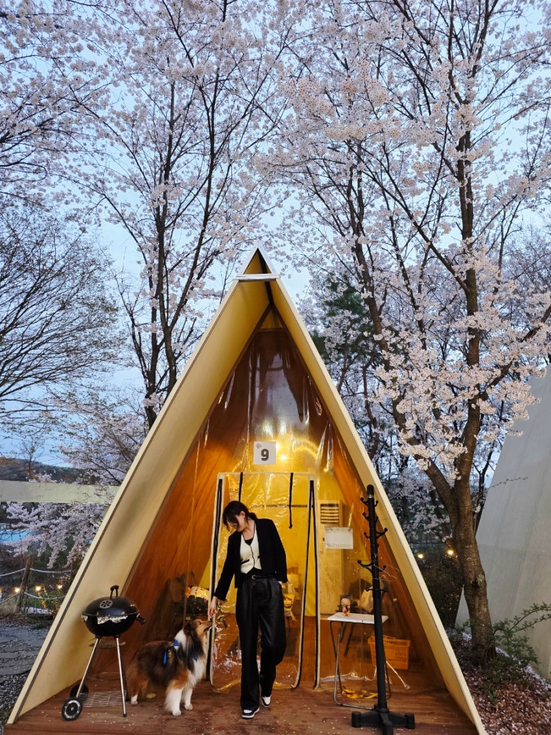 사진 6