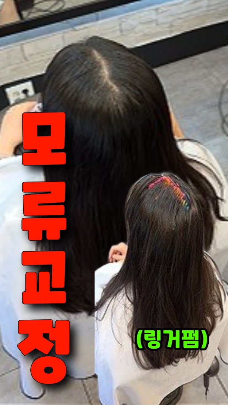  대전 뒷머리 갈라짐 해결하려다 수원까지 온 이유 (모류교정 링거펌 후기)