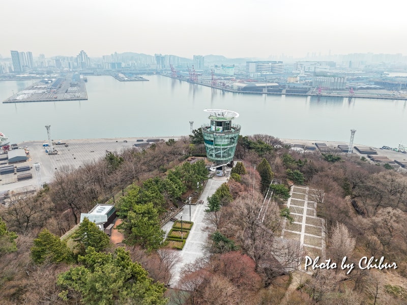 사진 6