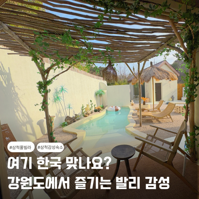 사진 7
