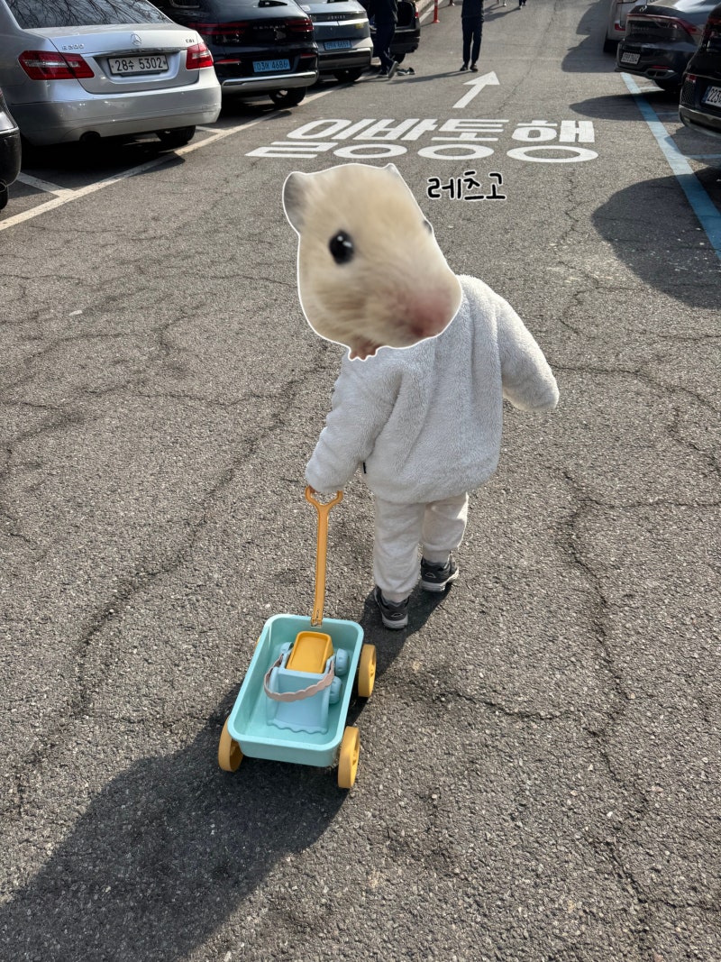 서울대공원 캠핑장 예약 주차 카트 숯불바베큐 아이랑함께 즐기기