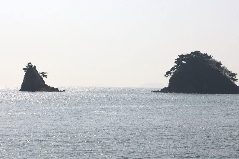 사진 5