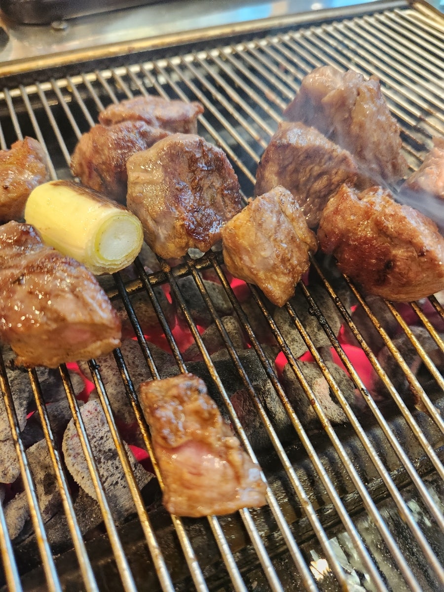 늑대와양 사진 4