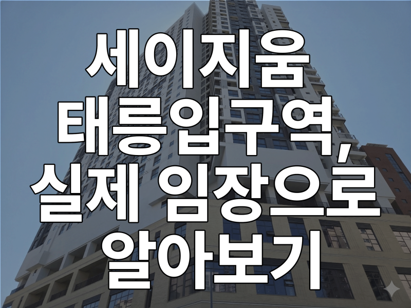 세이지움 태릉입구역,실제로 임장 해보았어요!