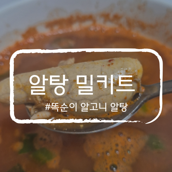 집밥장인 똑순이 알고니 알탕 밀키트 후기｜알탕 알고니 해물탕 술안주 알탕밀키트 캠핑요....