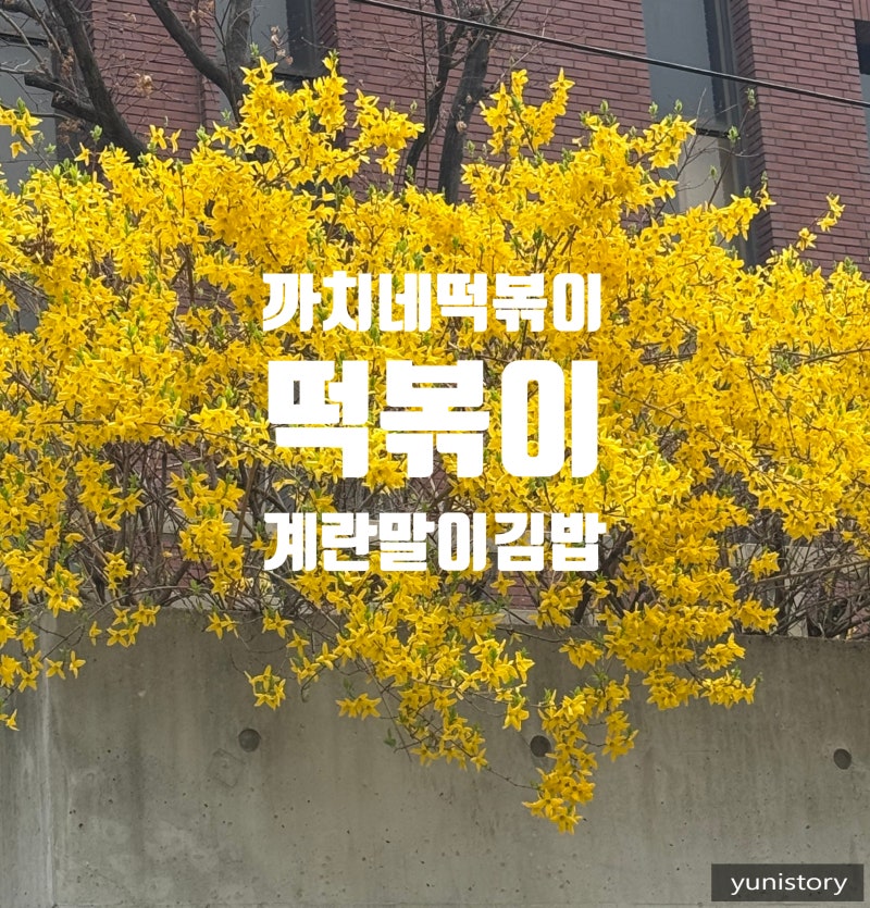 인천 구월동 까치네떡볶이 계란말이김밥 순대