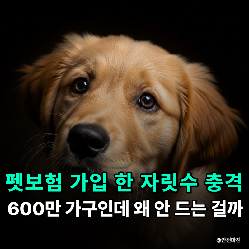 반려동물 600만 시대, 근데 팻보험 가입률은 한 자릿수라고요?