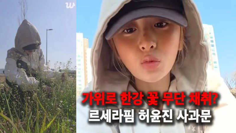 LE SSERAFIM's Huh Yunjin Illegally Picked Flowers with Scissors? 'I Didn't Know... I Was Trying to Make a Bouquet'
