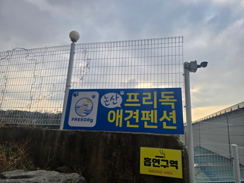 사진 6