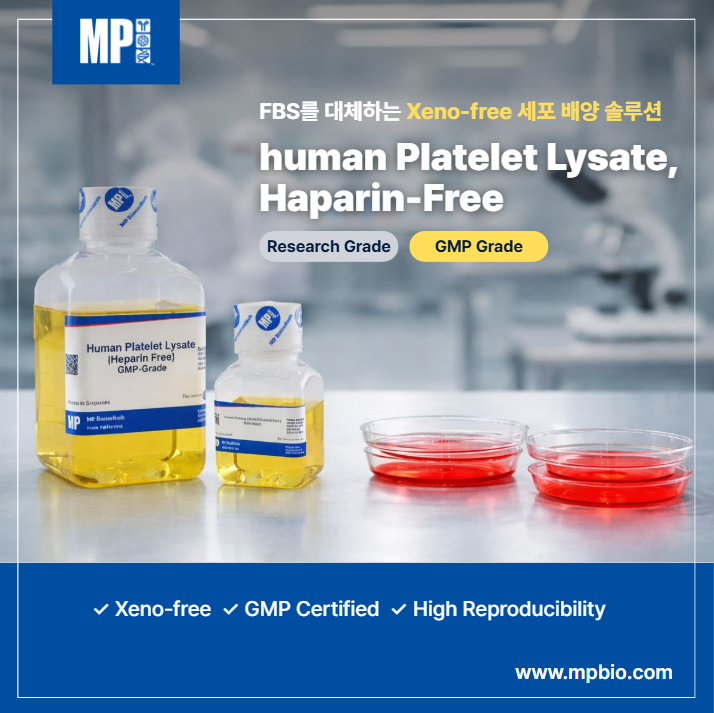  human Platelet Lysate(hPL): Haparin이 들어가는 이유와 Haparin-free 옵션의 검토