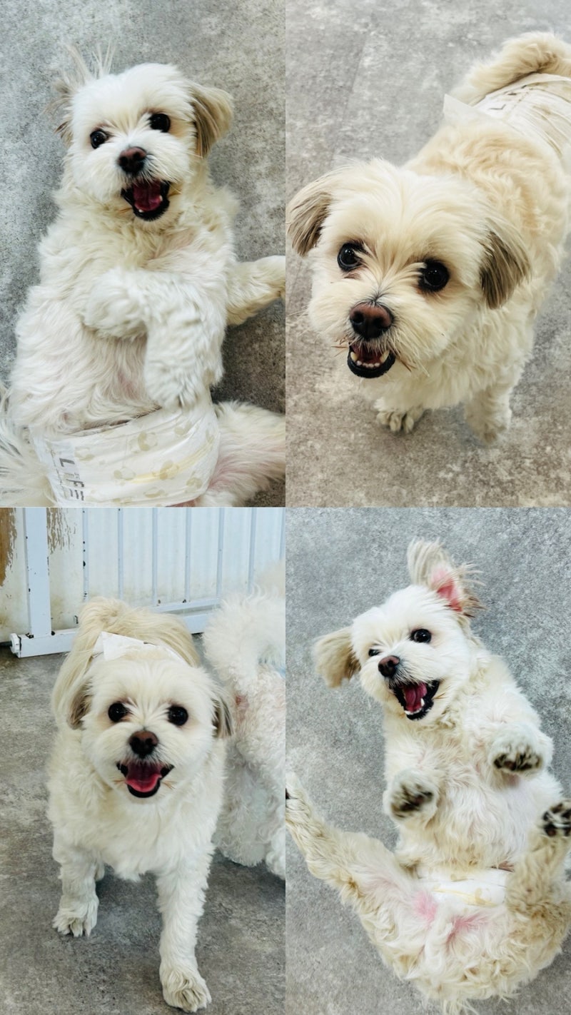 사진 2
