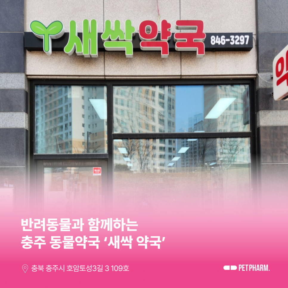 새싹약국 사진 1