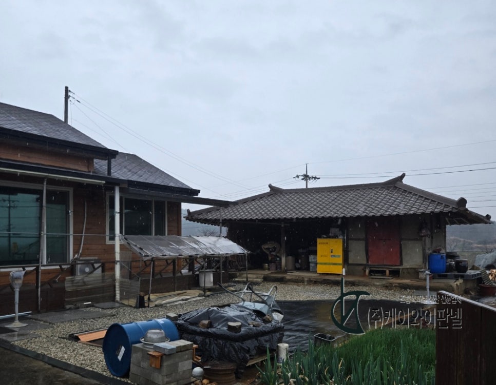 소골 사진 2