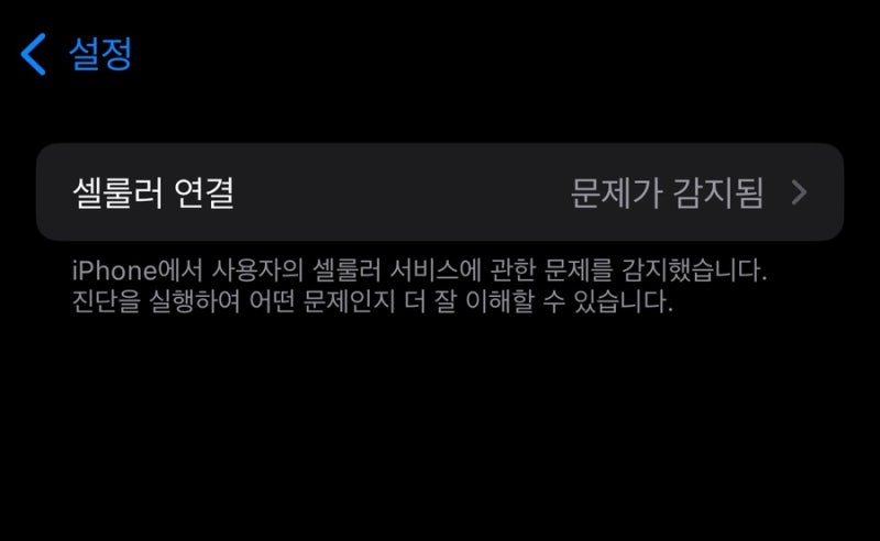 아이폰 셀룰러 문제 감지, 서비스 없음 문제 해결기 (SKT 유심, 애플 공식스토어 등)