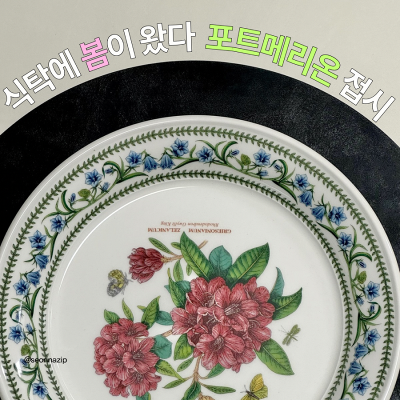 식탁 위의 작은 정원 포트메리온 뉴베리에이션 접시