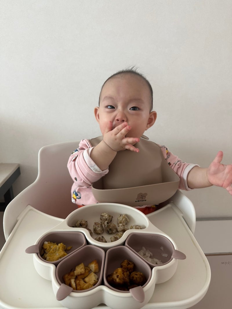 돌아기 첫 유아식 반찬 - 바나나빵, 두부구이, 소고기볶음주먹밥, 고구마소고기볼