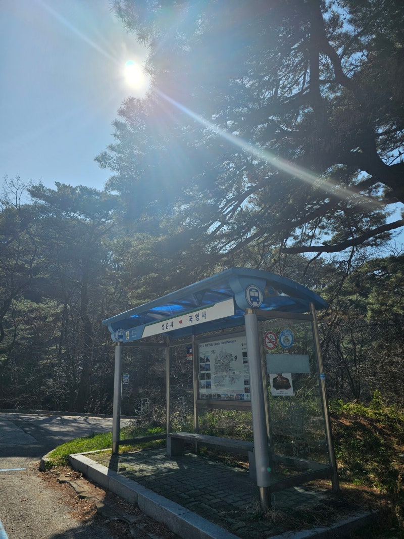 차 없이 떠나는 힐링 여행, 치악산 둘레길 11코스 한가터길 완벽 정복기