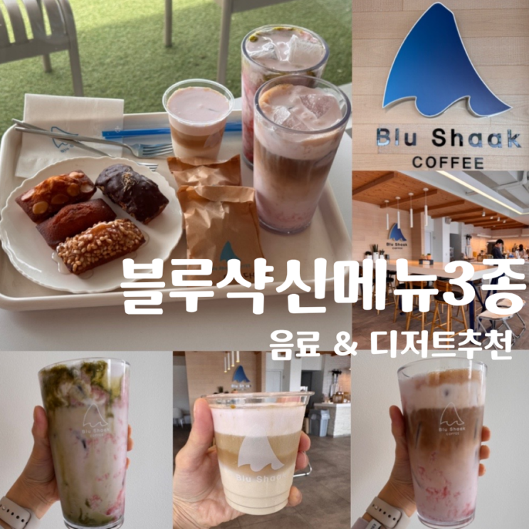  부산 다대포 카페 블루샥 다대표점 신메뉴 핑크블라썸 콜드브루, 핑크블라썸 말차라떼, 핑크블라썸 샥라떼, 휘낭시에 4종 맛 후기 (+메뉴, 맛, 분위기, 주차 정보 등)