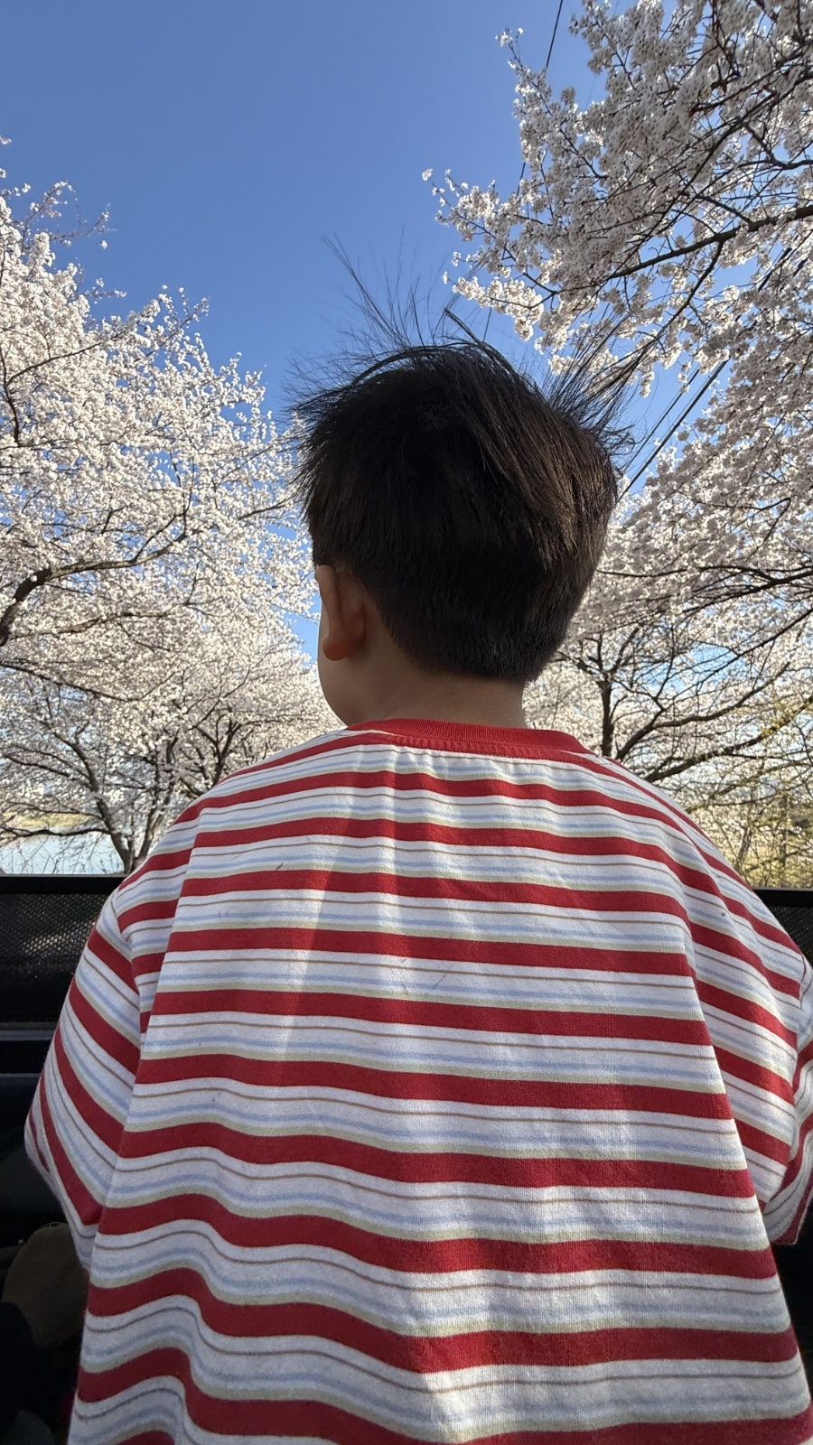 구천동송어마을 사진 6
