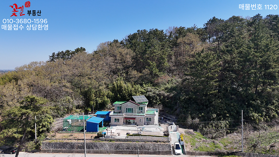 배풍산 사진 3