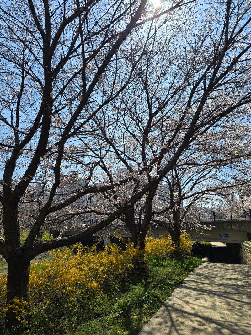 사진 3