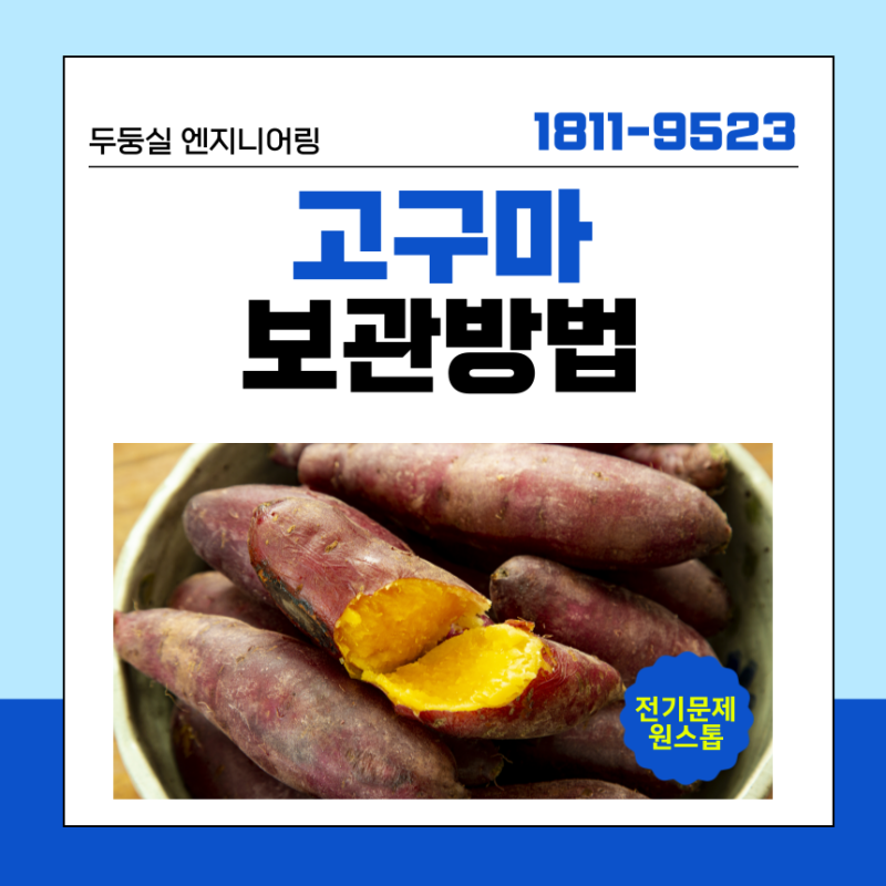 군고구마 찐고구마 보관방법, 냉동 냉장 어떤게 맞을까요