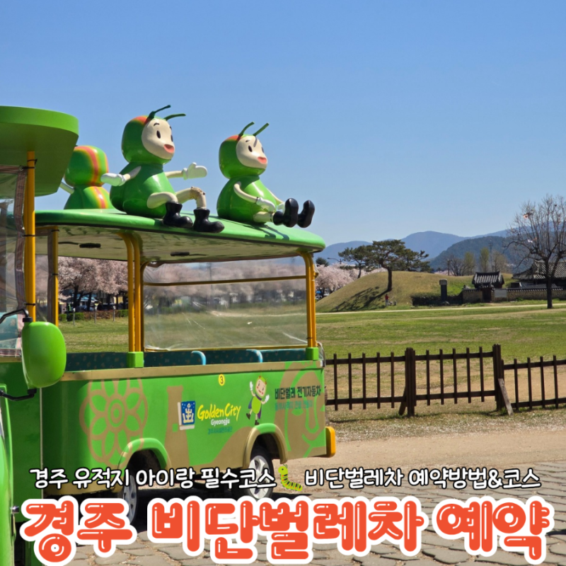 경주 비단벌레전동차 예약꿀팁 주차정보 아이랑 필수코스