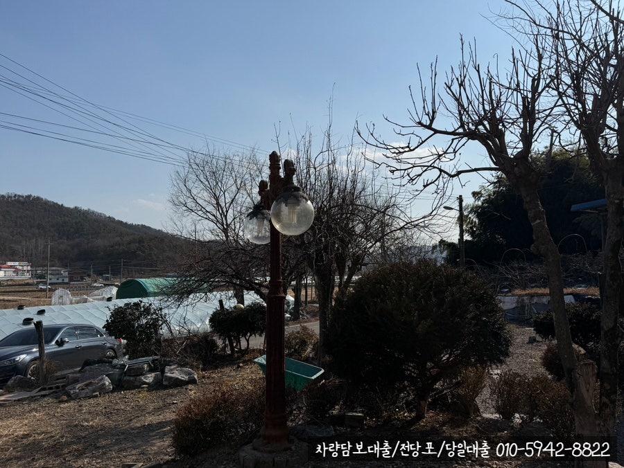 원조황토메기매운탕 사진 5