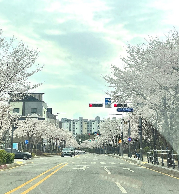 올인담 사진 3