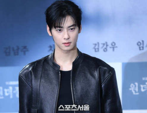   차은우 200억 탈세 논란 종결 사과문 발표와 추징금 완납 소식