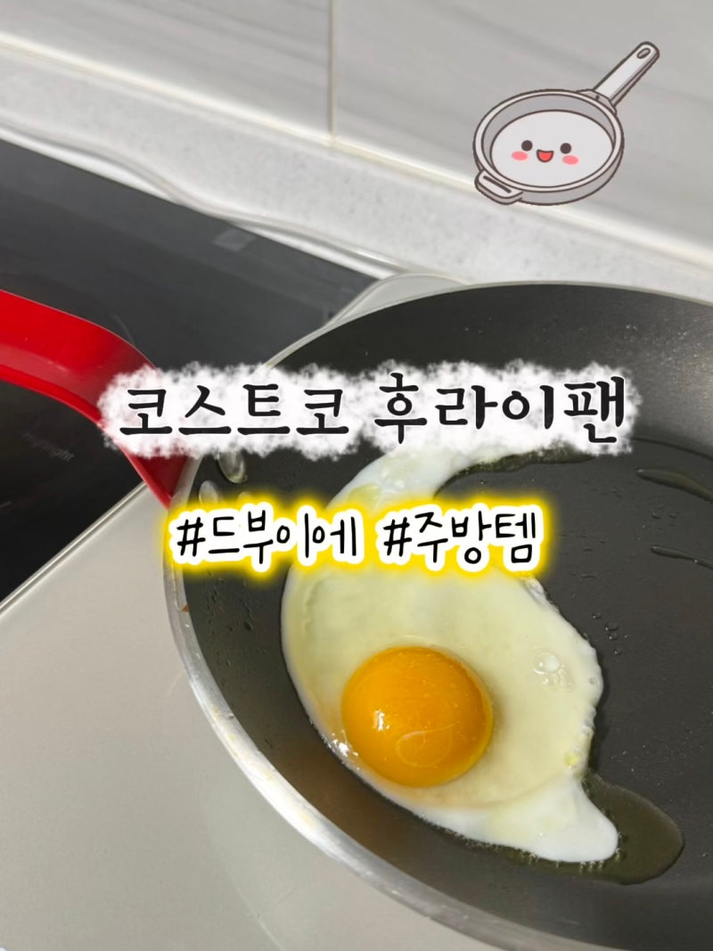 코스트코 후라이팬 드부이에 프랑스산 코팅 팬