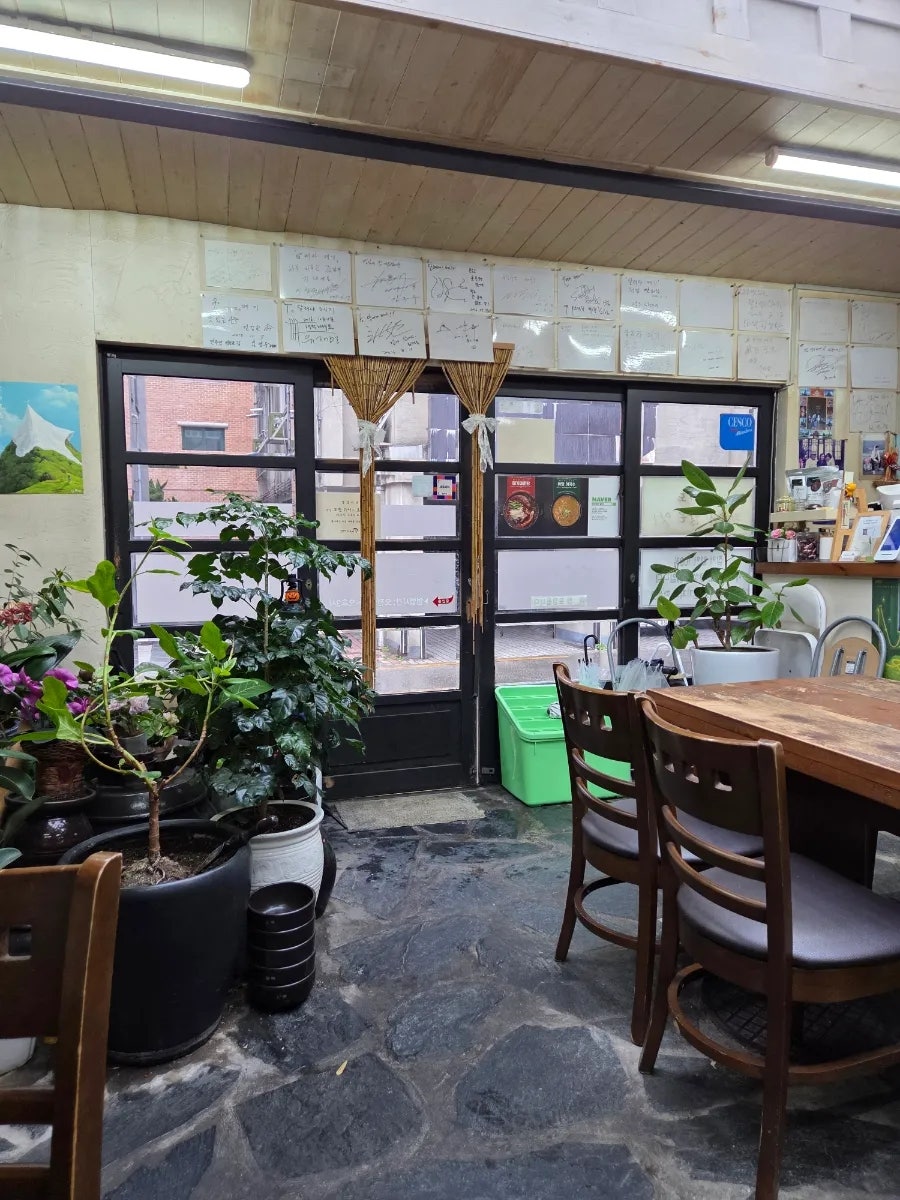 달려라메기 사진 6