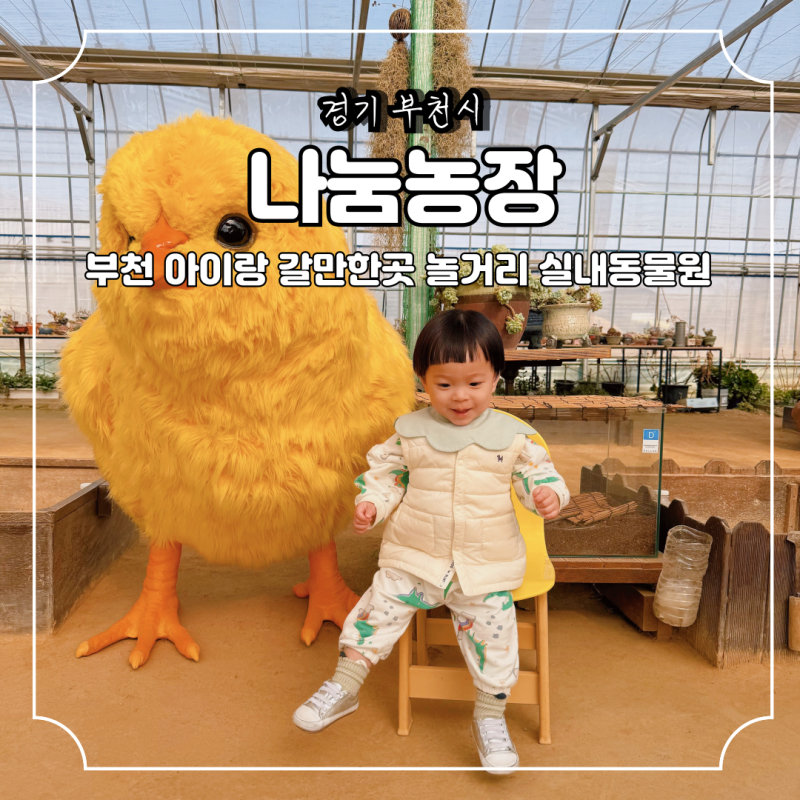 나눔농장 경기도 부천 아이랑 갈만한곳 놀거리 실내동물원