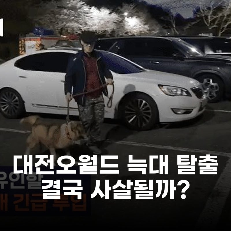 사진 5