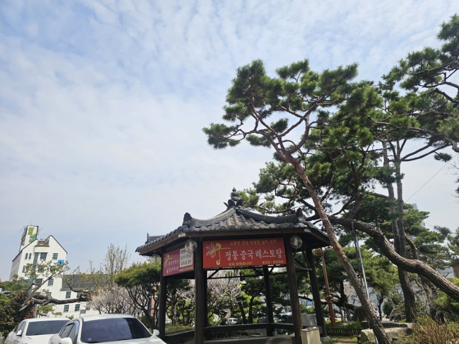 궁중화요리 사진 2