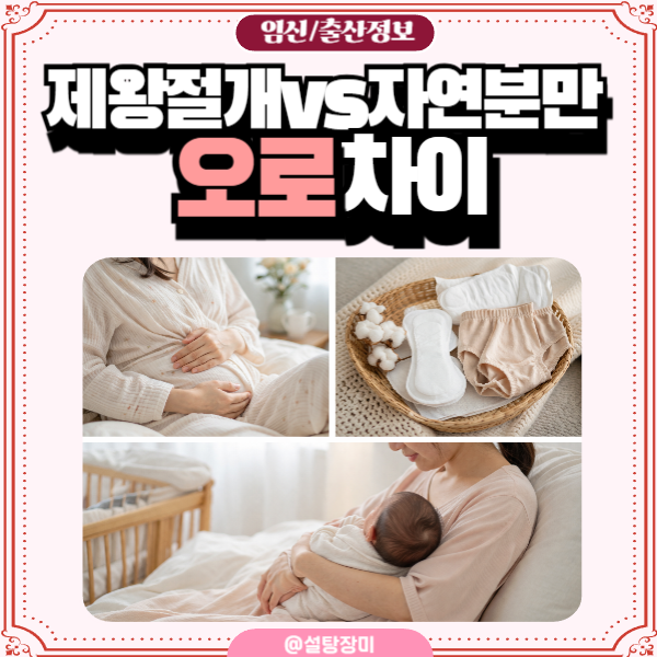 제왕절개인데 왜 오로가 나오죠 자연분만과 차이 제대로 알려드려요