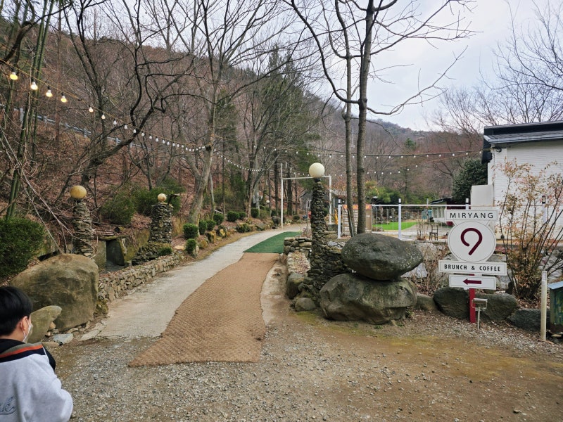 사진 5