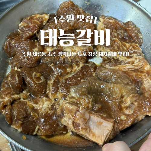  수원 돼지갈비 노포 맛집 세류동 태능갈비
