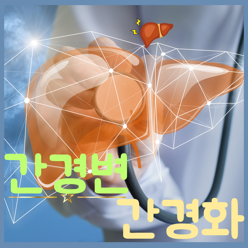 간경화 간경변증 원인 초기 증상 복수 황달 치료 특징 검사 섬유화 결절 비알콜성