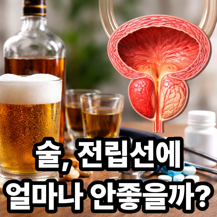  전립선 건강과 음주 습관의 관계, 술이 미치는 영향 총정리