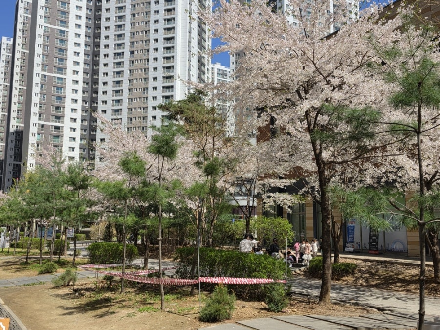 우애돈카츠 하남점 사진 4
