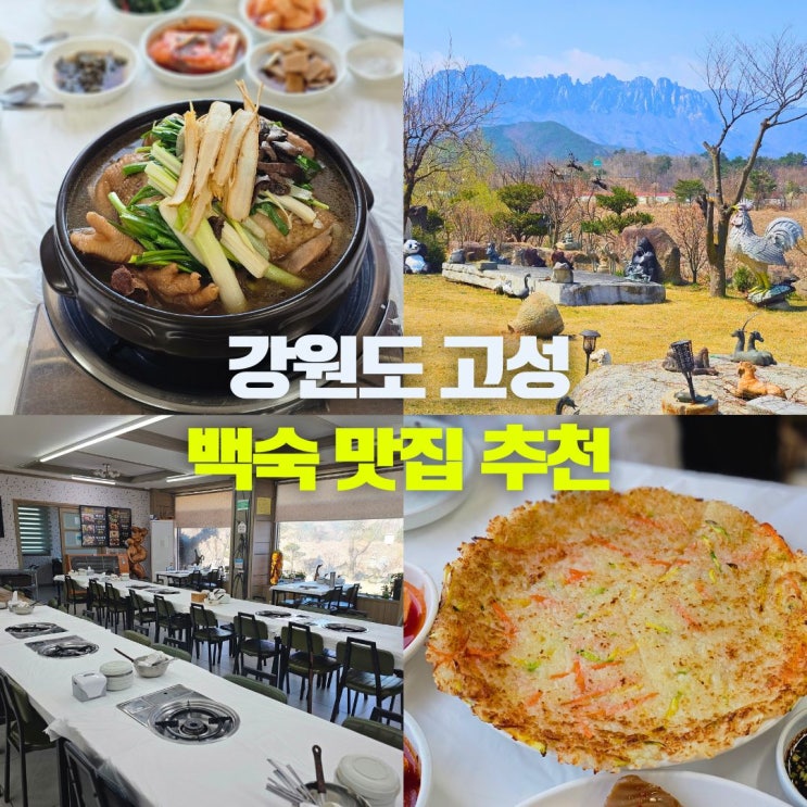  강원도 고성 숨은 맛집 델피노 리조트 근처 갈만한곳 울산바위 뷰 창바위식당