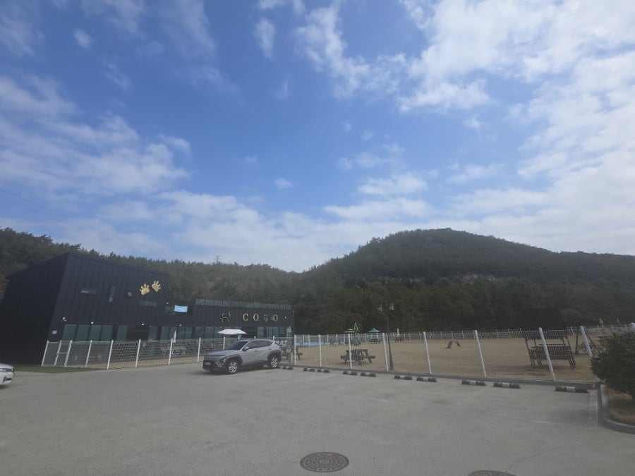Kokodokseuaegyeonkape photo 2