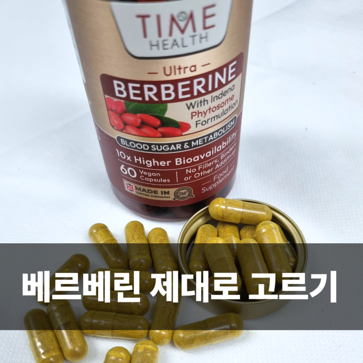  베르베린 파이토좀 1000mg 흡수율 중요한 이유