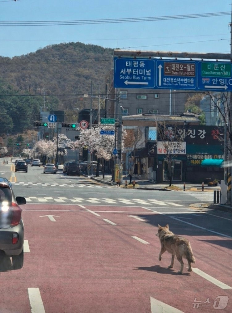 낙원 사진 6